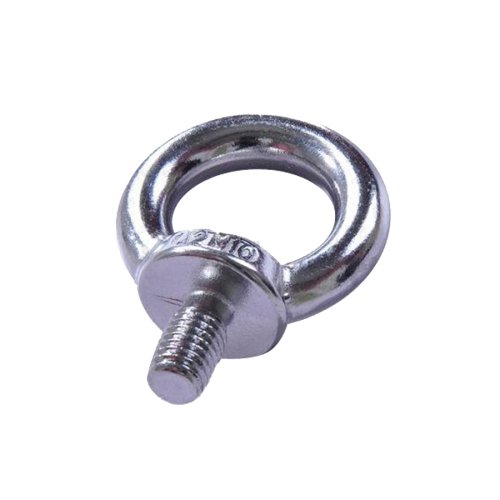 Stainless Steel DIN580 Eye Bolt