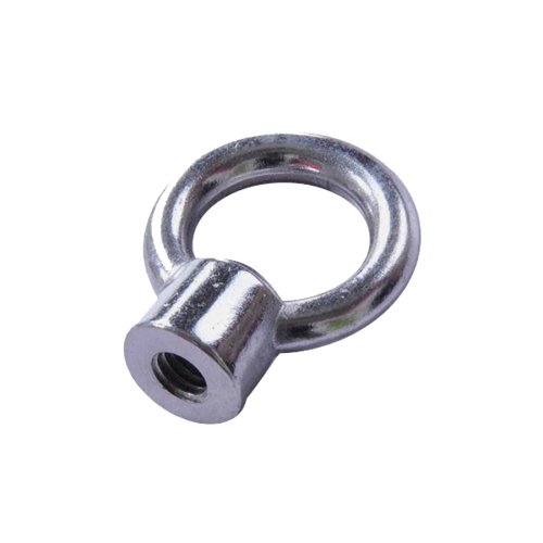 Stainless Steel JIS1169 Eye Nut