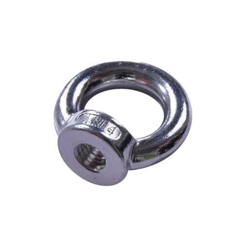 Stainless Steel DIN582 Eye Nut